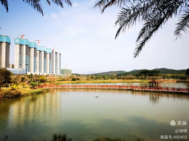 台山市金星湖湿地公园